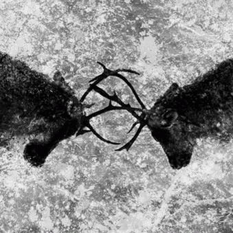 Chasse-Galerie : D'Ost et de Verve - Musique d'Expatriés